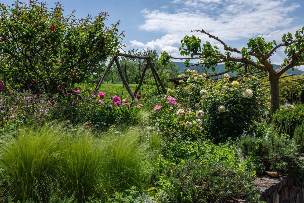 Rooms&Vinery Bregovi - Sobe In Vinska Klet Bregovi Dobravlje Zewnętrze zdjęcie