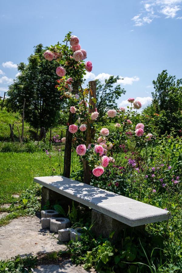 Rooms&Vinery Bregovi - Sobe In Vinska Klet Bregovi Dobravlje Zewnętrze zdjęcie