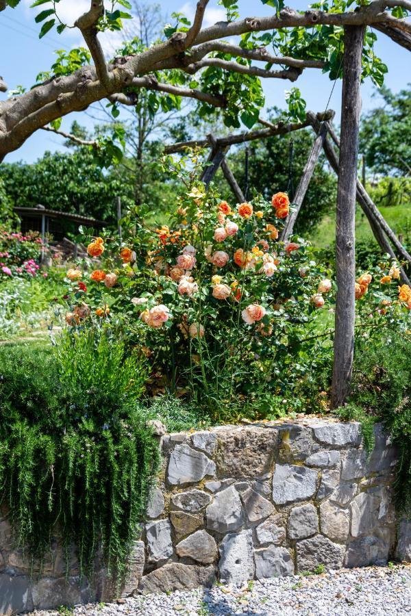 Rooms&Vinery Bregovi - Sobe In Vinska Klet Bregovi Dobravlje Zewnętrze zdjęcie