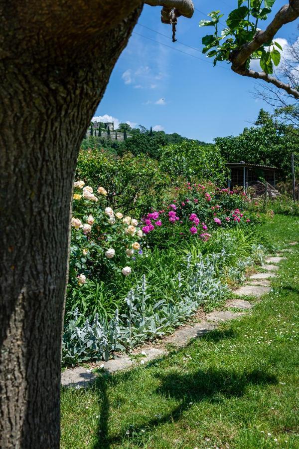 Rooms&Vinery Bregovi - Sobe In Vinska Klet Bregovi Dobravlje Zewnętrze zdjęcie