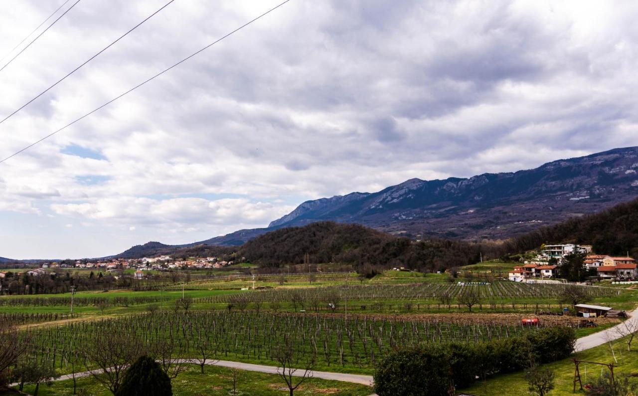 Rooms&Vinery Bregovi - Sobe In Vinska Klet Bregovi Dobravlje Zewnętrze zdjęcie